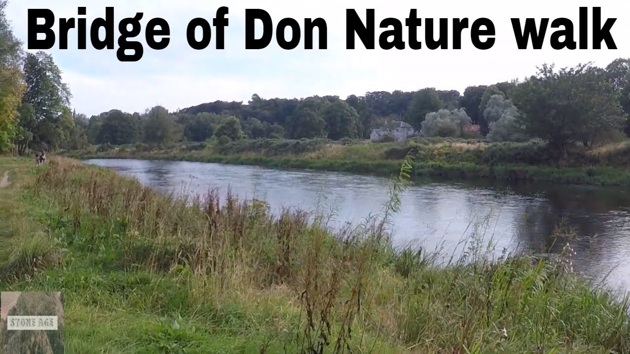 Bridge of Don Nature Reserve & Seaton Park walkabout