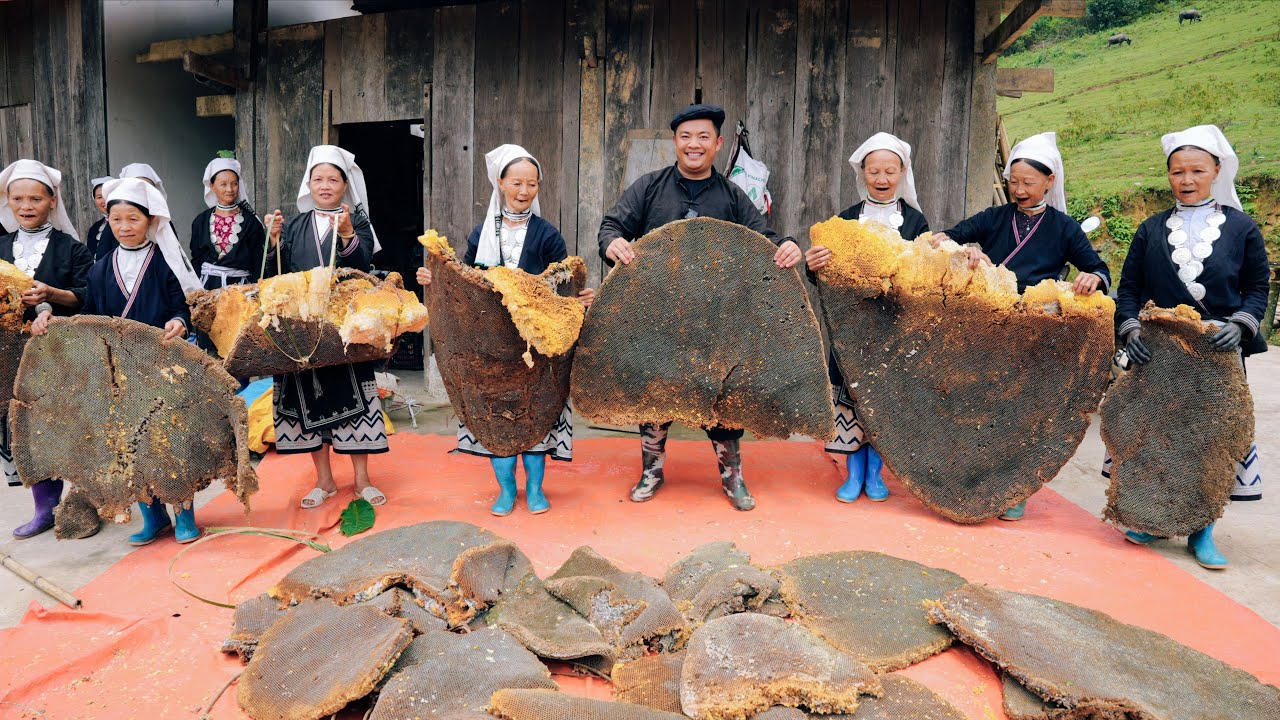 Harvesting Rock Bee Wax for Printing on Traditional Clothing Fabric of Dao people in Cao Bang
