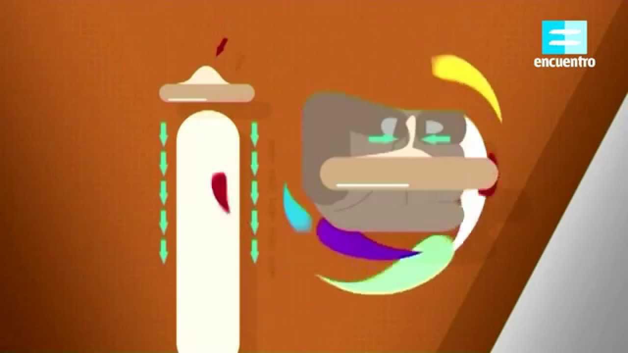 Queremos saber: Cómo se usa el preservativo - Canal Encuentro HD