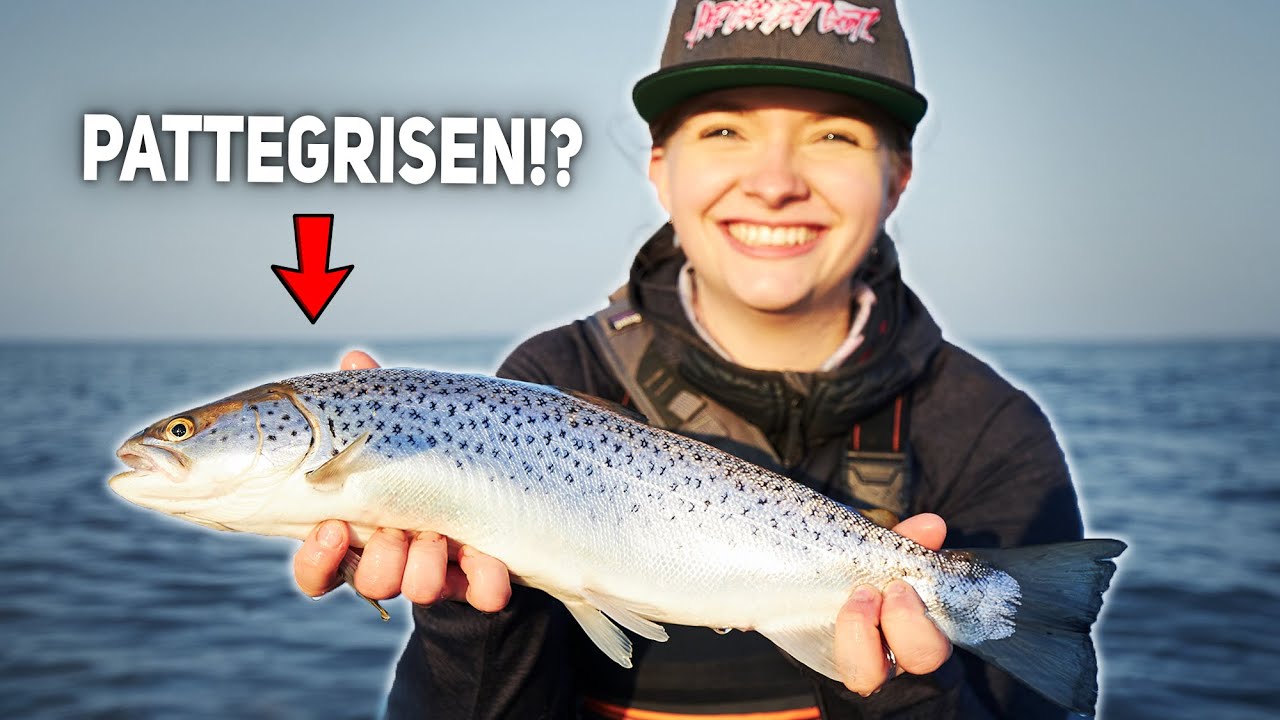 Springtime Spin Fishing For Sea Trout (Does The Dropper Fly Actually Work!?)