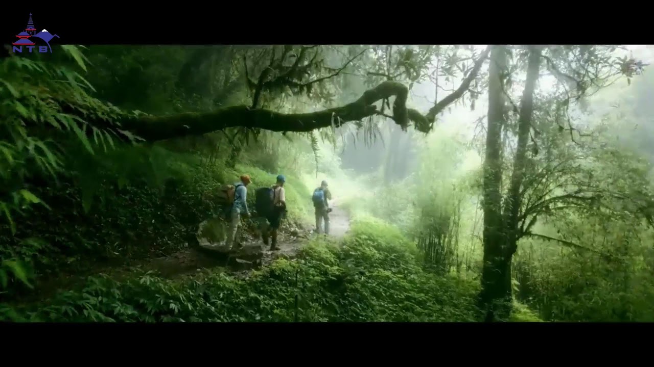 NTB brings you LIVE from the heart of Thamel , Kathmandu City!