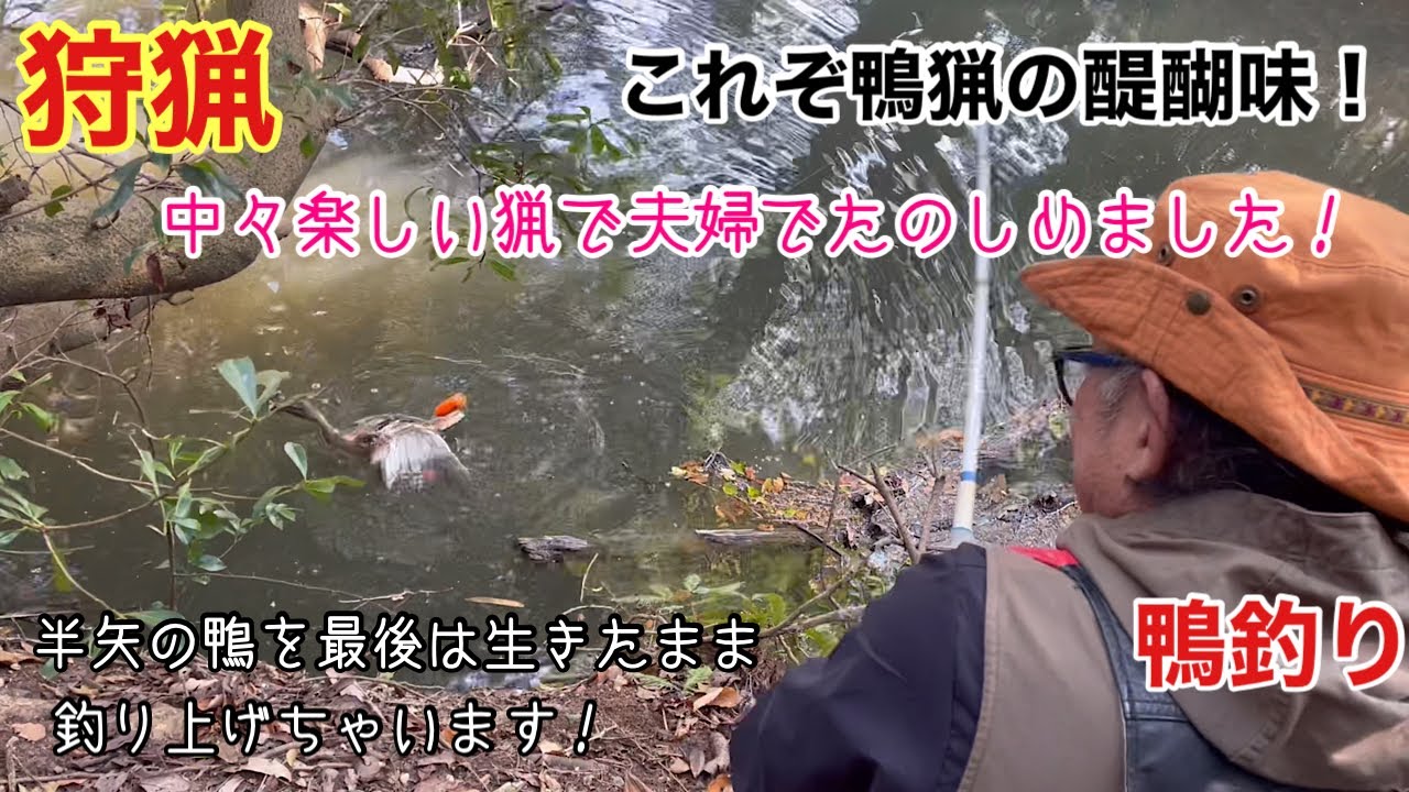 狩猟！鴨猟で半矢で逃げる鴨を釣り上げる！