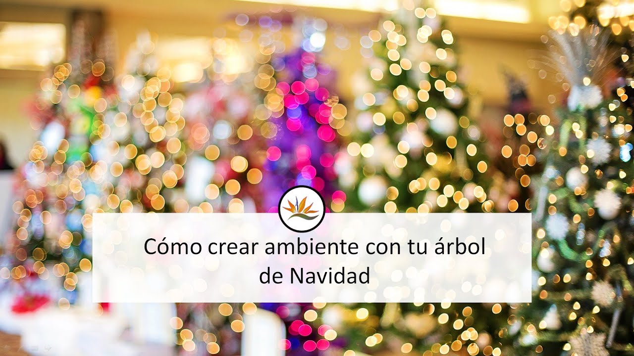 Cómo crear ambiente con tu árbol de Navidad - Feng Shui para Todos