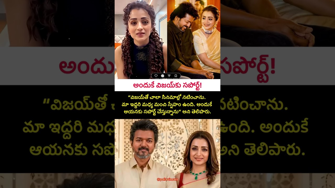 విజయ్&zwnj;కు సపోర్ట్ ఎందుకో చెప్పేసిన Trisha #trisha #vijaythalapathy #trending #tvkvijay #viral #tvk