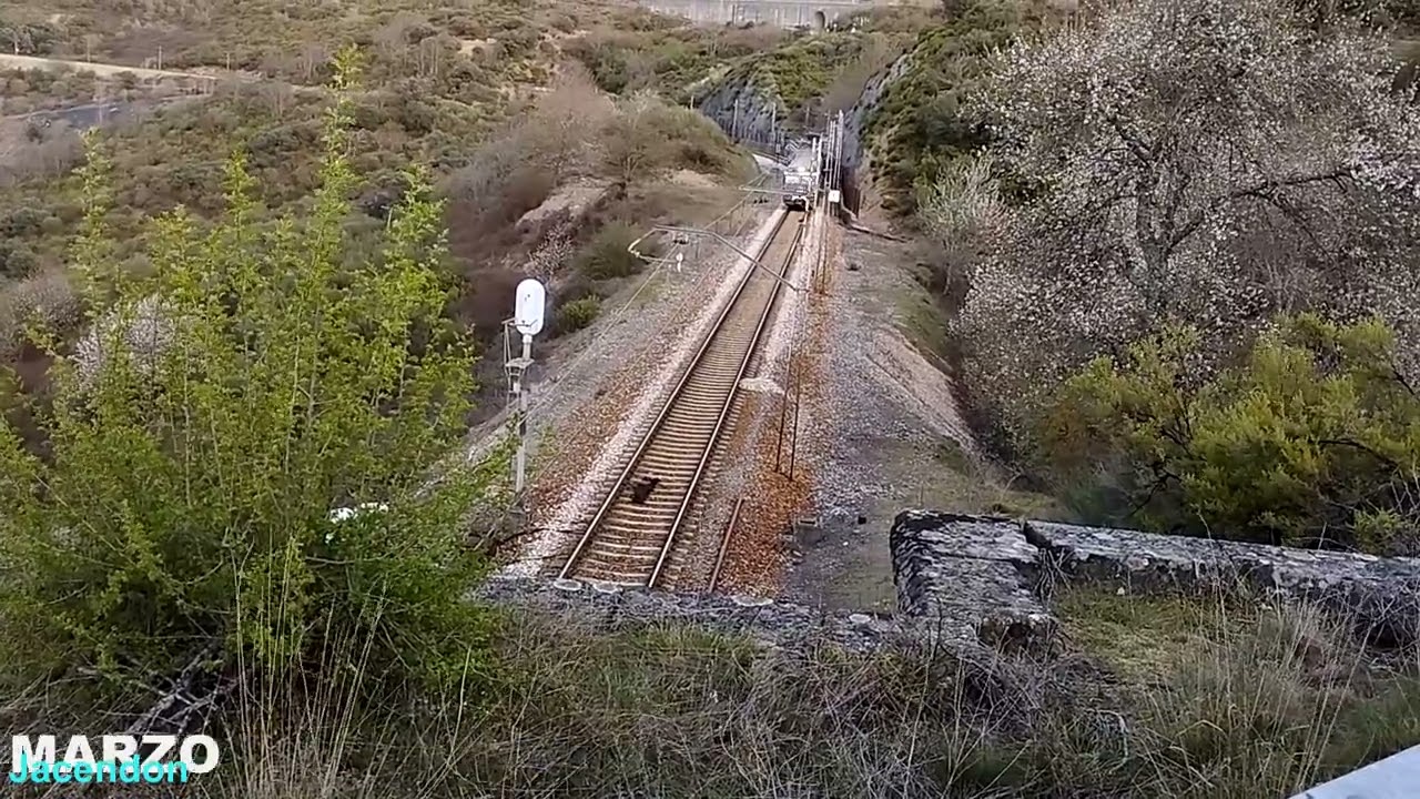 TRENES POR LA LINEA PALENCIA A LA CORUÑA 2023