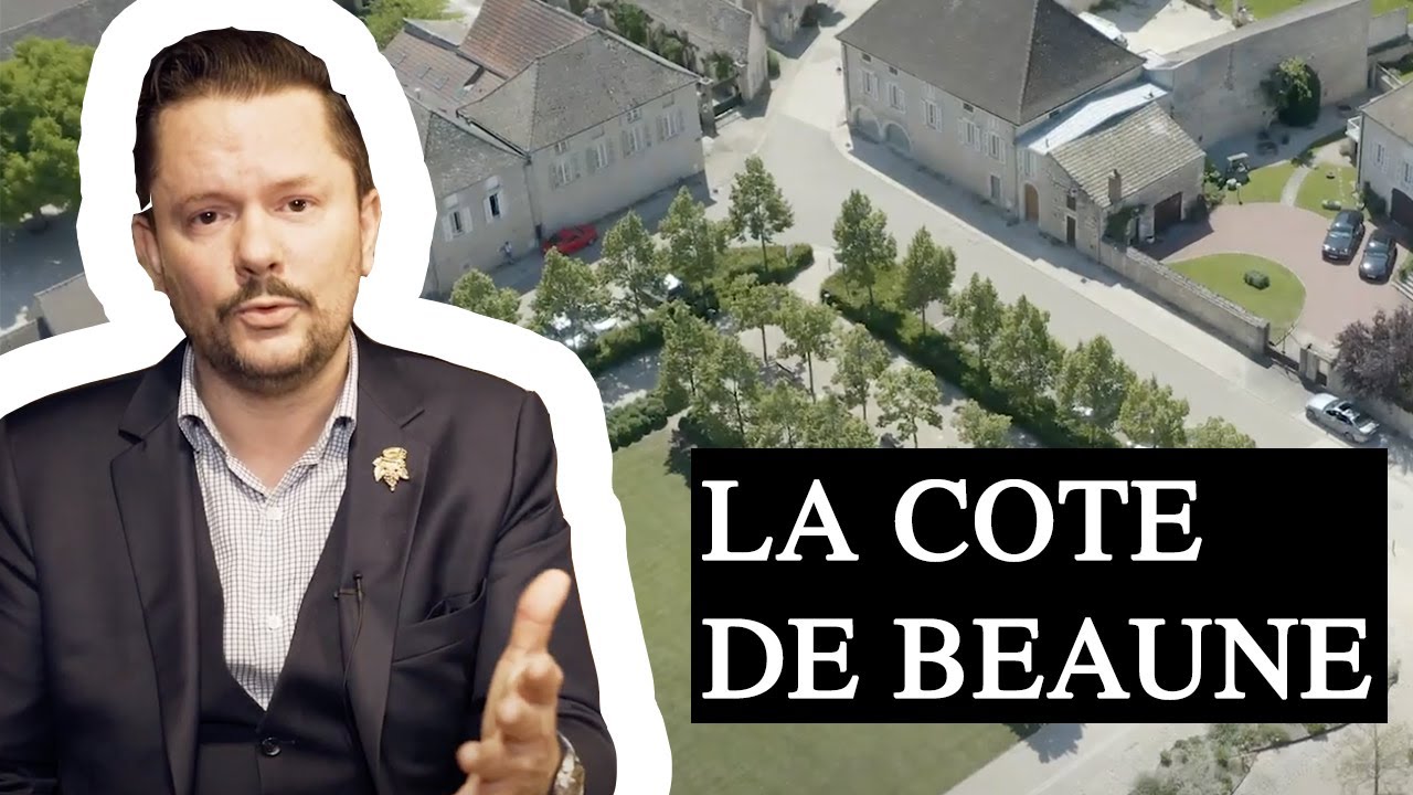 La Minute Chanzy #15 - LA COTE DE BEAUNE -THE COTE DE BEAUNE