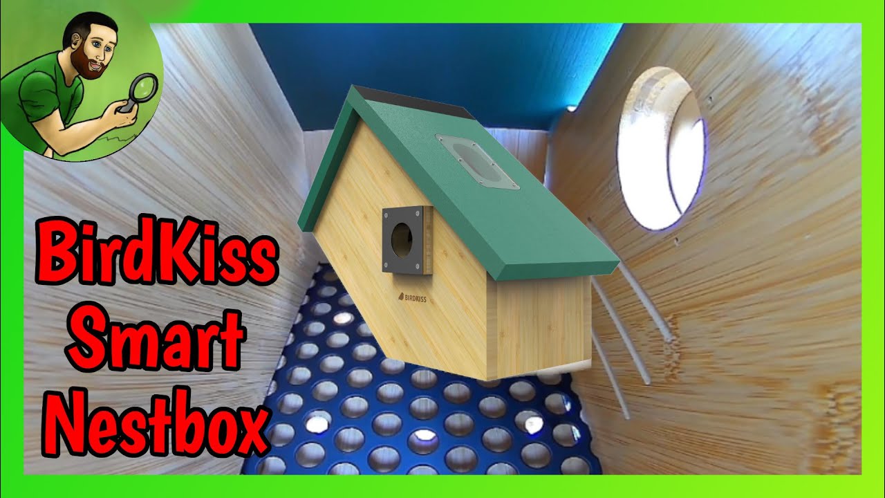 The Birdkiss Smart Bird Nest Box - Unboxing and Testing