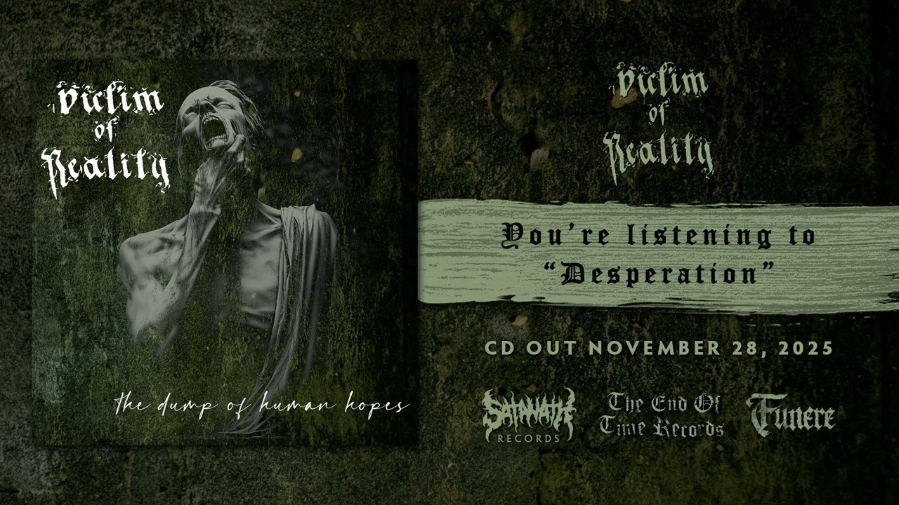Victim Of Reality - Desperation