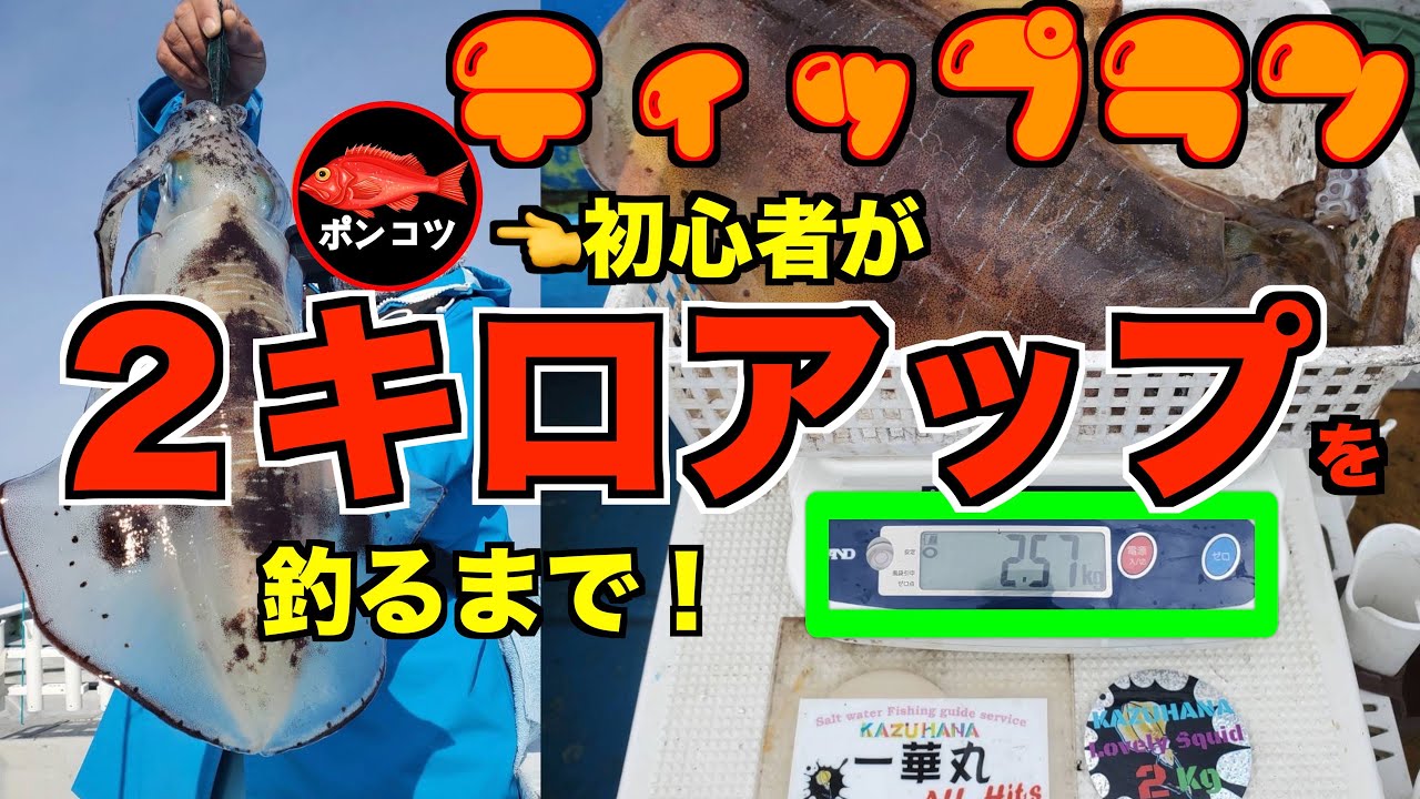 【ティップランエギング】初心者が三重県志摩沖（一華丸）で２キロアップのアオリイカをティップランで釣るまで！