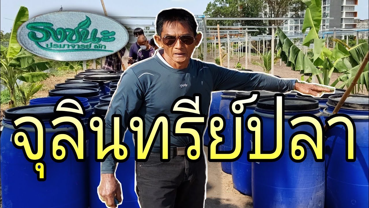 สูตรเด็ดหมักปลา เพื่อกสิกรรมธรรมชาติ #หมักซากสัตว์