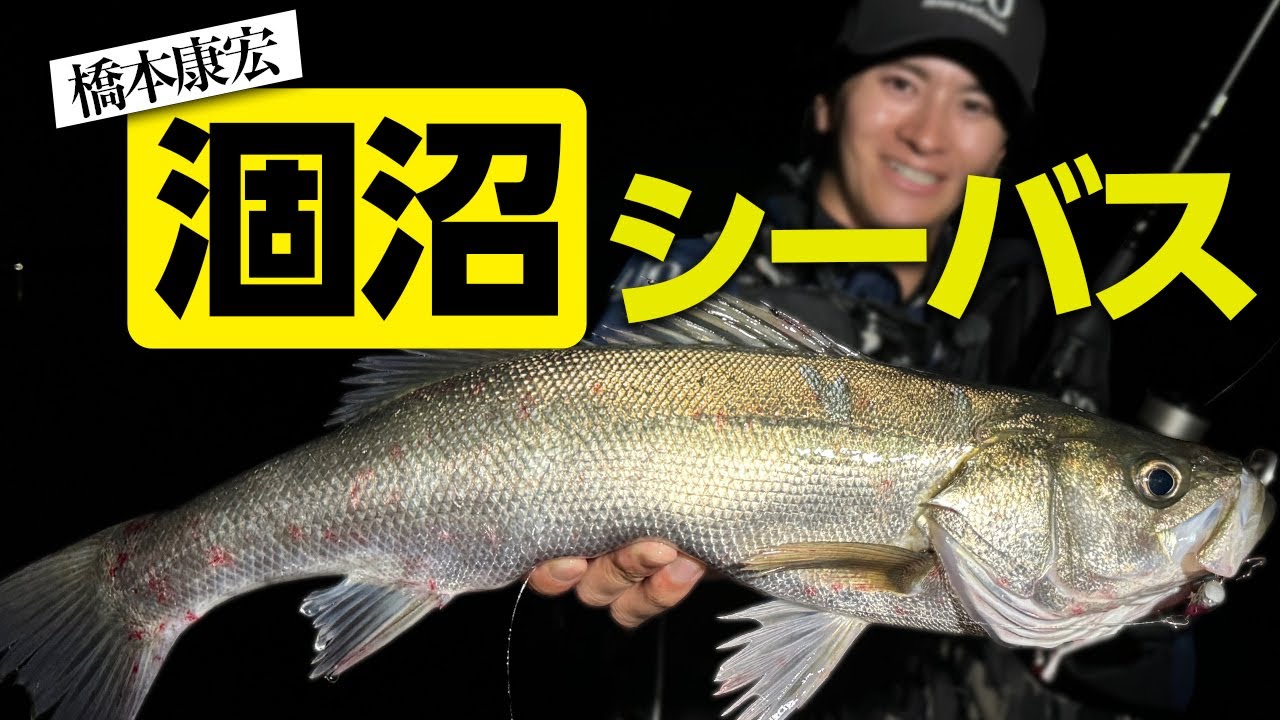 シーバス天国〜茨城県涸沼～