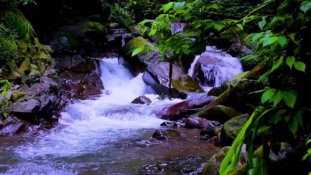 Mountain River Soft Serenity | Natural White Noise Water Sounds for Deep Sleep Tonight