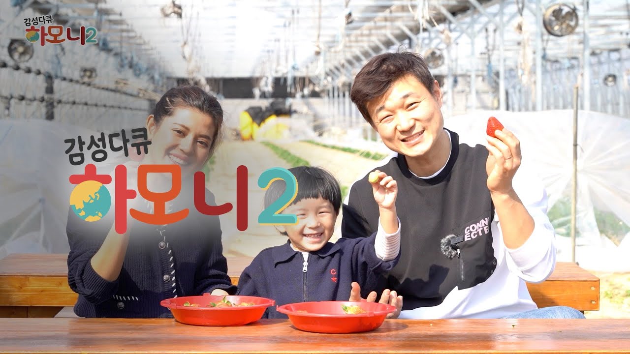 감성다큐하모니 시즌2 - 민수 온달과 굳세어라 찬찬! 스페셜 1부