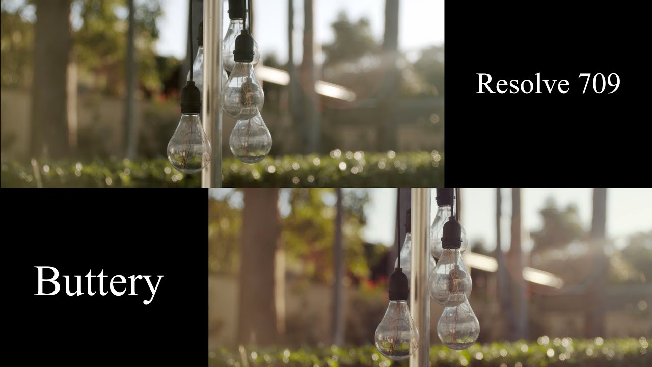 ARE THE BUTTERY LUTS WORTH IT? BMPCC4K | Resolve 709 vs Buttery Lut Test |