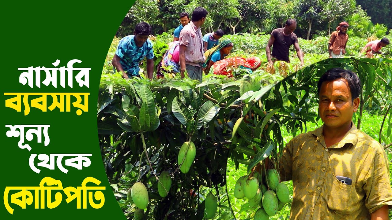 নার্সারি ব্যবসা - শূন্য থেকে ৪৫ বিঘায় বিশাল নার্সারি | Nursery Business in Bangladesh- Safollo kotha