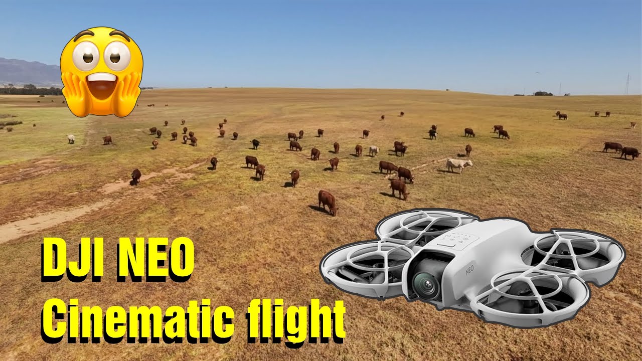 DJI NEO  - cinematic