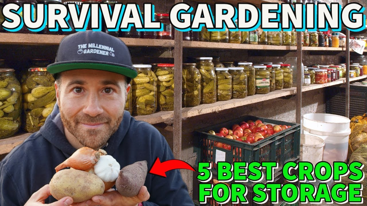 5 BEST Crops To Grow For Food Security And Food Storage