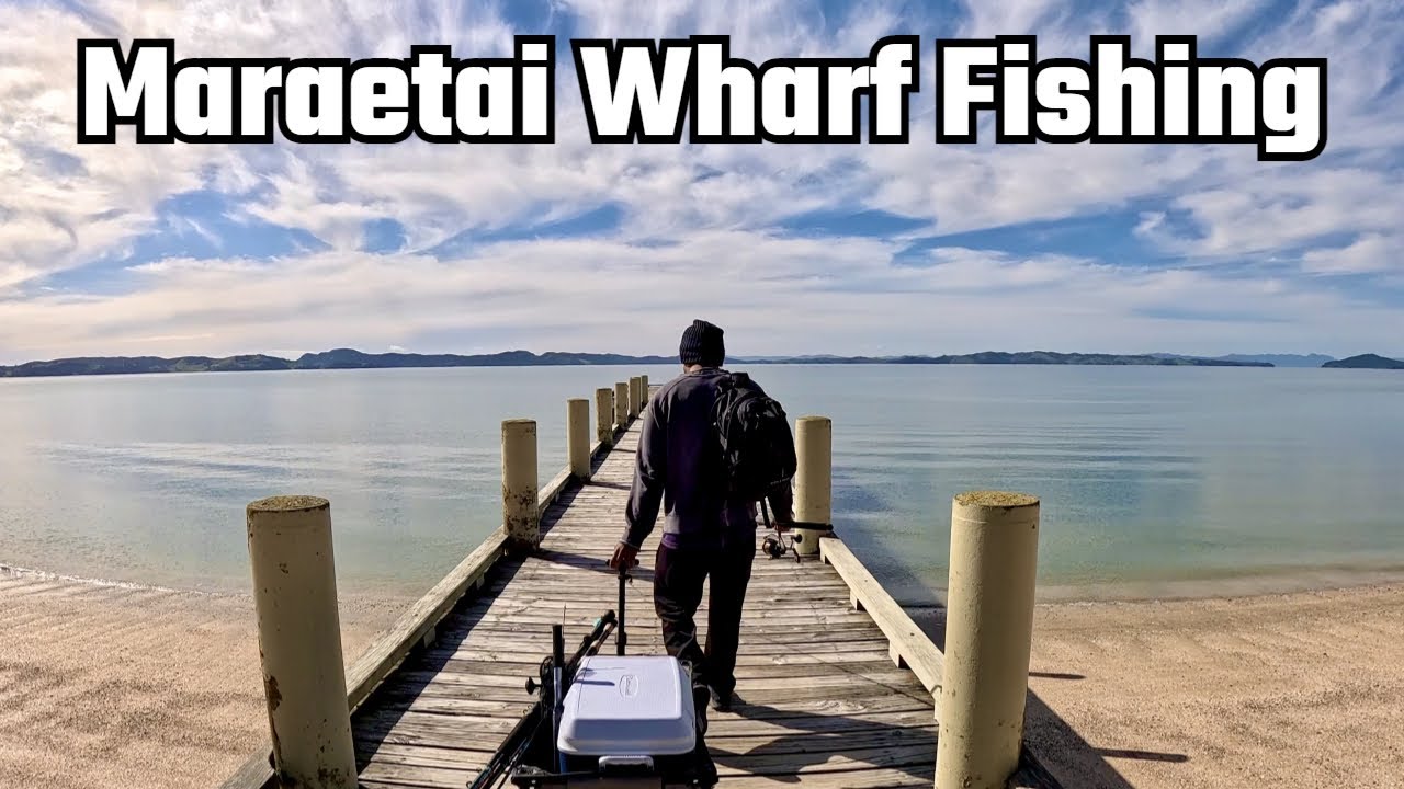 FISHING & COOK UP at MARAETAI WHARF  - Fishing and Auckland Light Show Adventure!