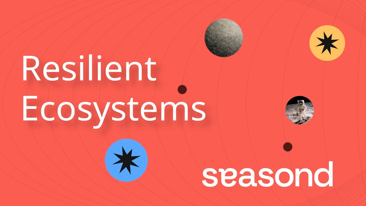 Unveiling the power of Resilient Ecosystems