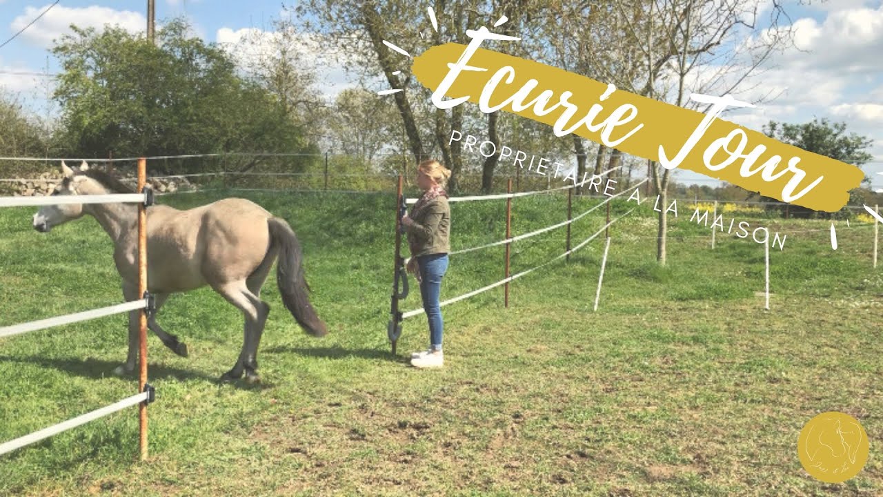 [ECURIE TOUR] Je vous présente mon écurie à la maison 🏡
