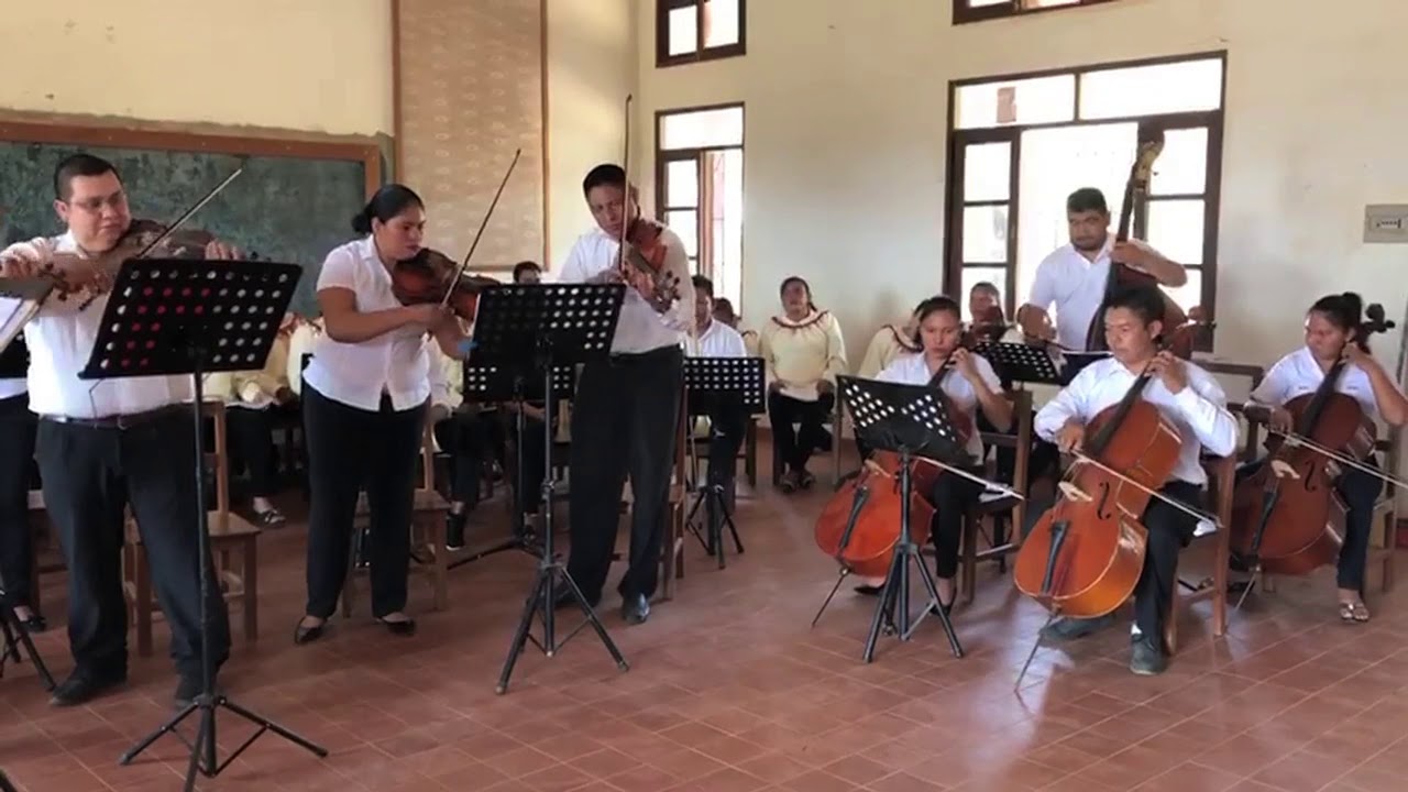 Palmarito & Urubich&aacute;