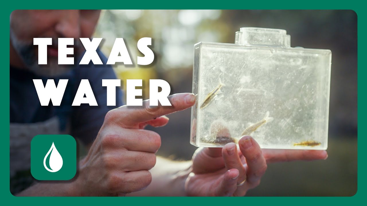 The Future of Texas Water