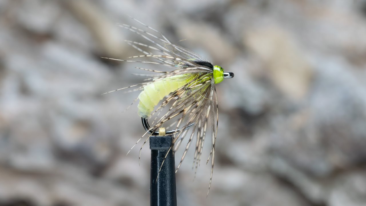 Olive Sedge (Caddis) Pupa