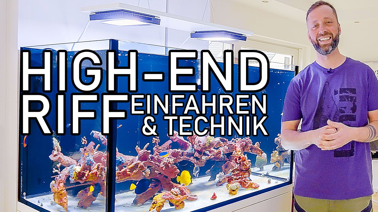 HIGH-END Meerwasseraquarium | Probleme beim Einfahren, Fische & Technik ERKLÄRT (600l)
