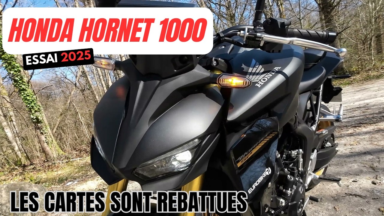 TEST HORNET 1000 : plus de chevaux que d'euros