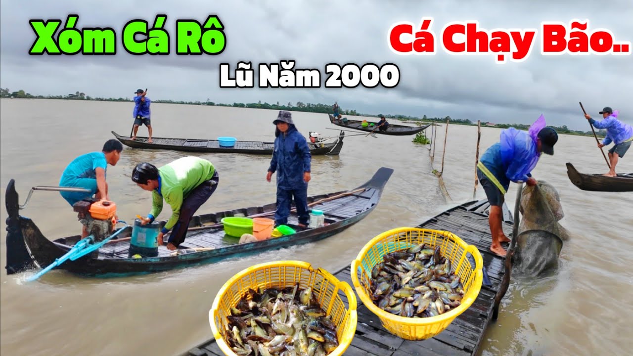 CHẠY BÃO Lũ ầm ầm