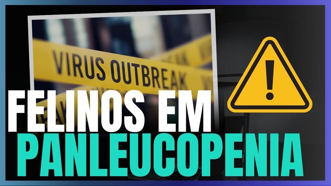 Panleucopenia Felina - O que é?