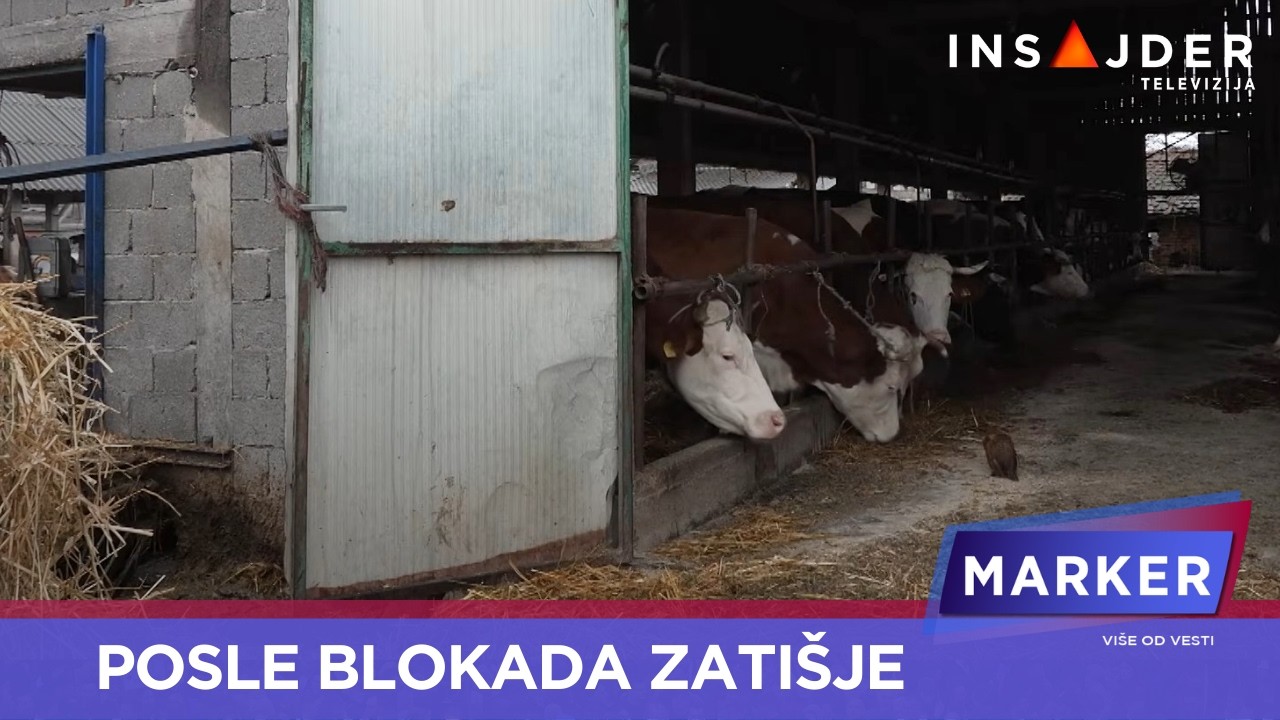 Posle blokada zatišje: Vlada donela meru za otkup, ali cena mleka ne raste