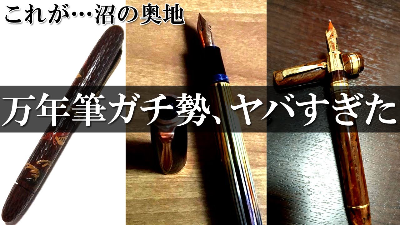 【万年筆沼の深淵】視聴者の『愛用万年筆』ガチすぎた件　視聴者の万年筆紹介21人分【ずんだもん】【四国めたん】【VOICEVOX】