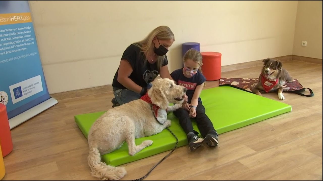 Therapiehunde an der KUNO Klinik St. Hedwig – TVA Gesundheitsforum