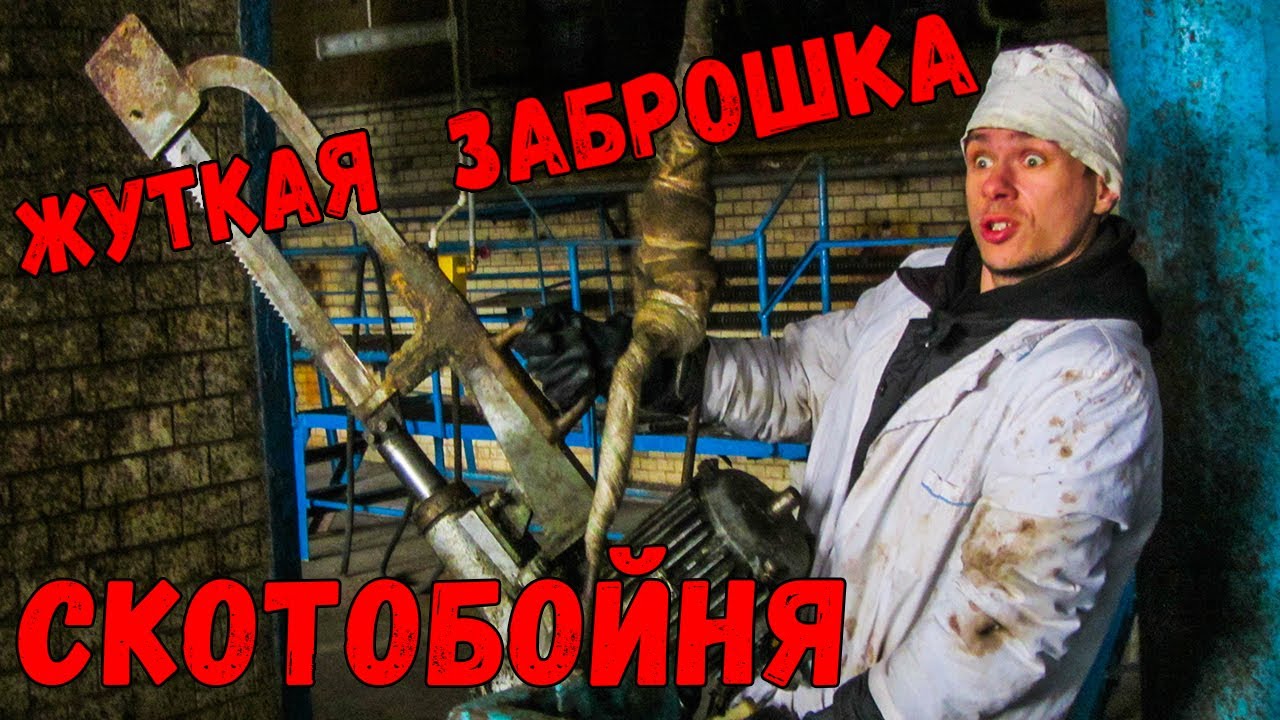 🐃 Жуткая заброшка.  Скотобойни Розенау. Калининградский мясокомбинат