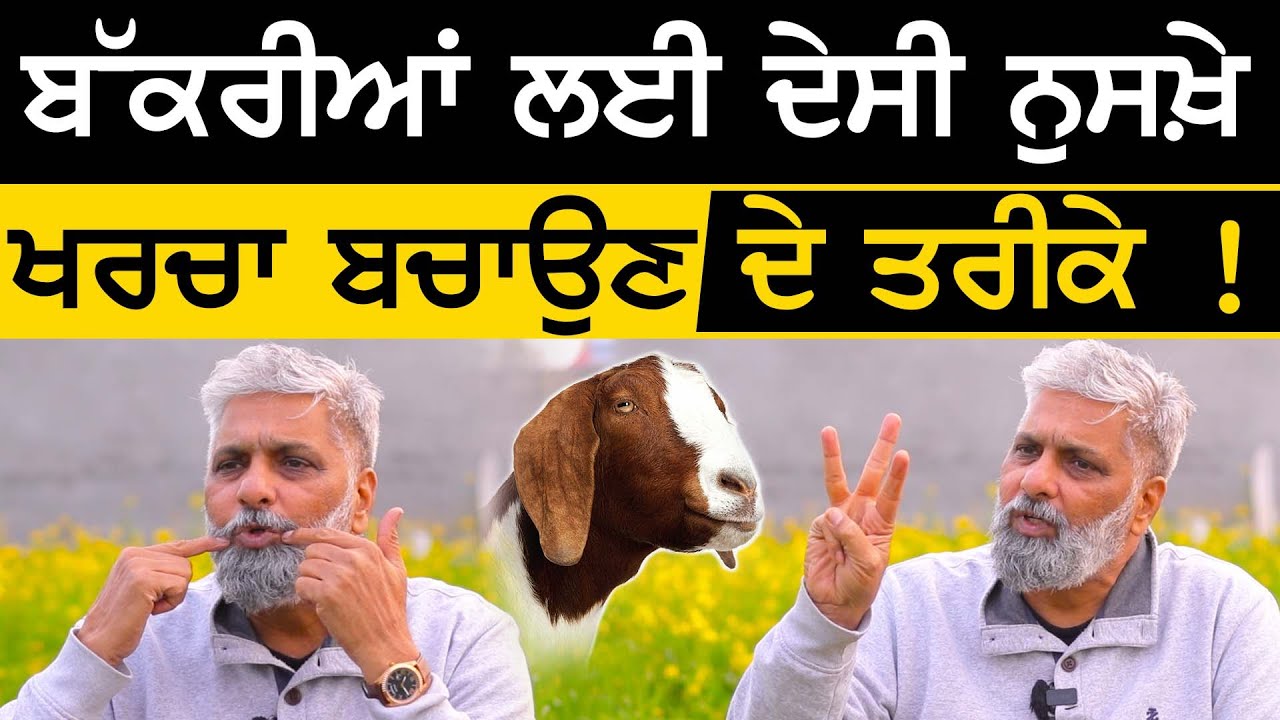 Bakriyan ਲਈ ਦੇਸੀ ਨੁਸਖ਼ੇ | Goat Farming | Bakri Farm | Dr Avtar Singh Bassi | Sirlekh