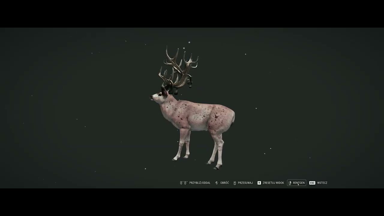 the Hunter Call of the Wild Cotw Great One Mulak Czarnoogonowy