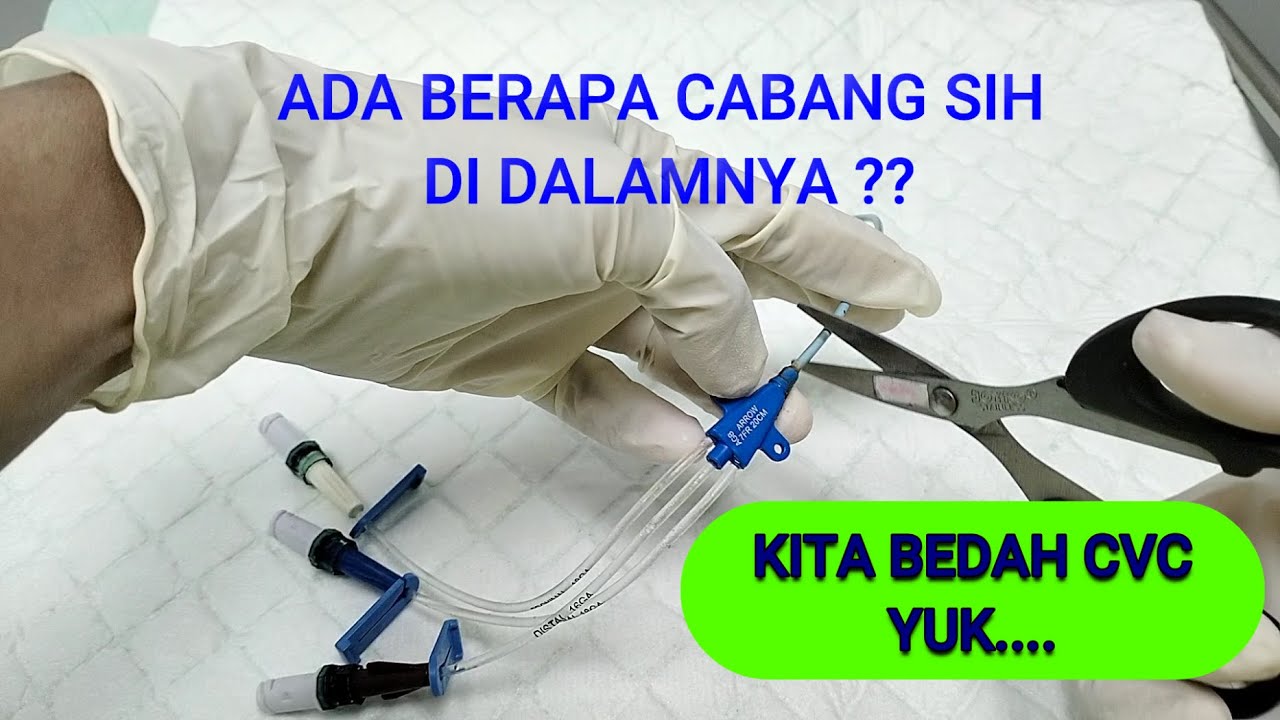 Berapa Cabang Sih didalam CVC itu?? II Bedah CVC II Tenaga Kesehatan