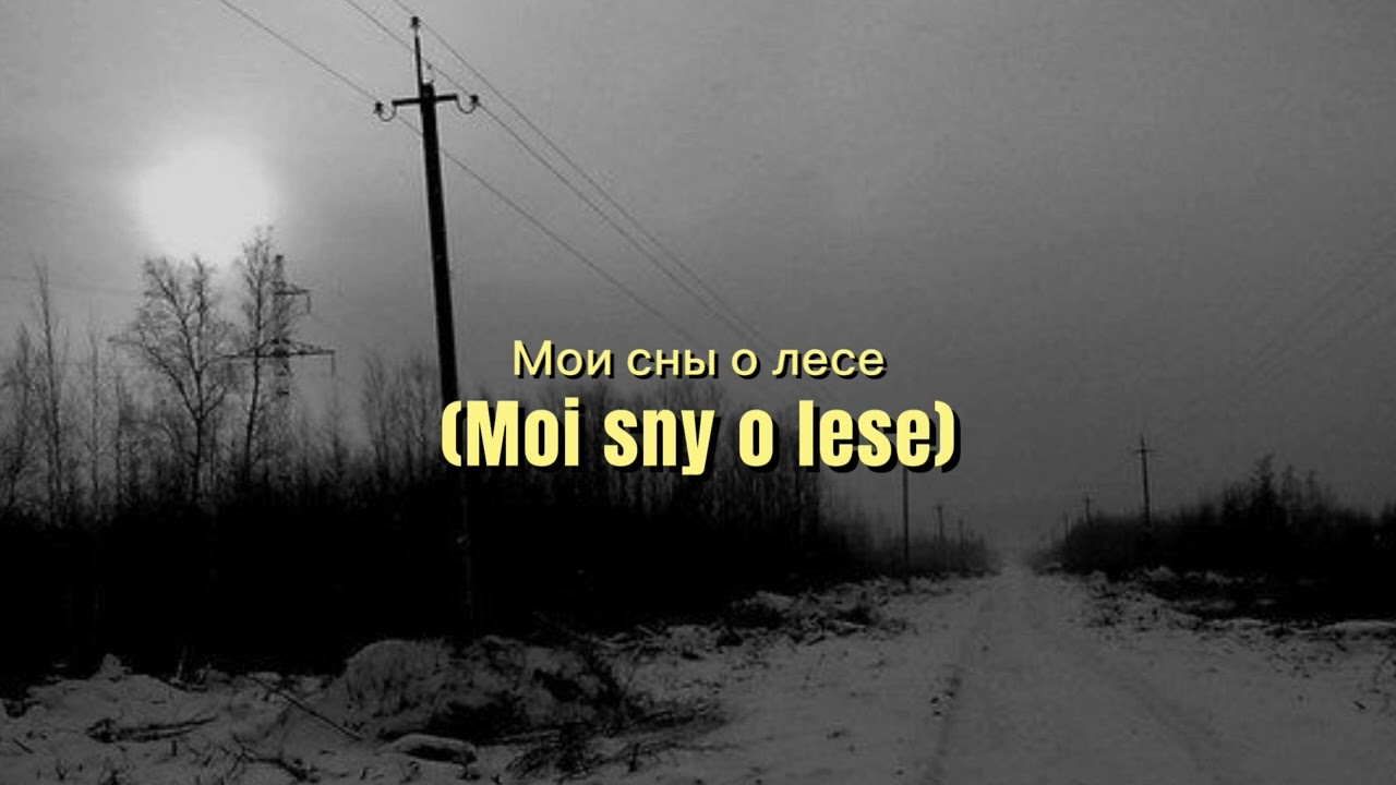 Personal Forest - Karaoke (With Pronunciation)