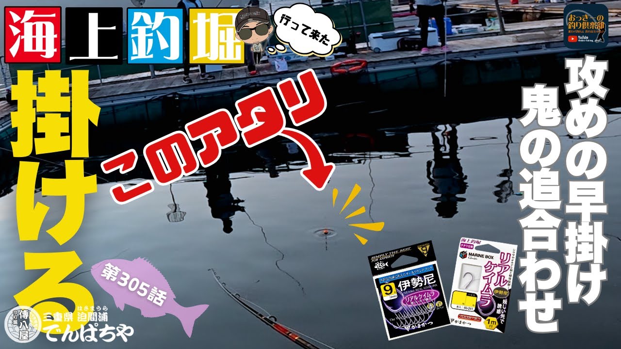 【海上釣堀】伊勢尼とシラサにはこのアワセ