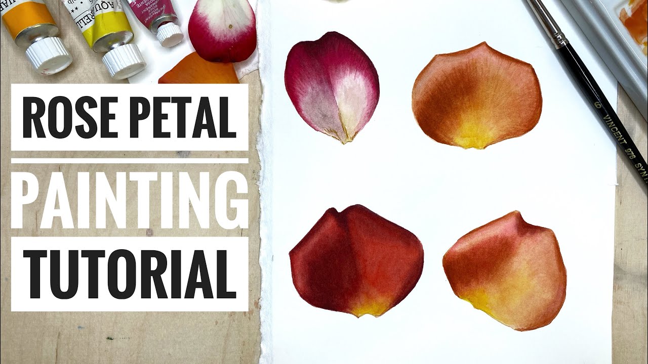 Rose Petal watercolor painting tutorial for beginners | How to paint rose petals