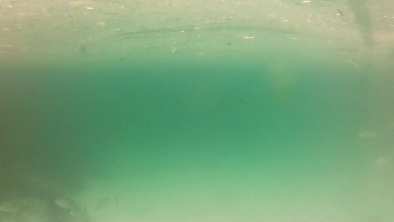 Wagonga Inlet 11/02/2026