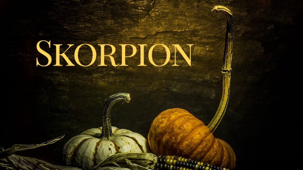 Skorpion ♏️ Regeneration und Vorbereitung auf die riesige Chance! Du kommst in deine Schöpferkraft!