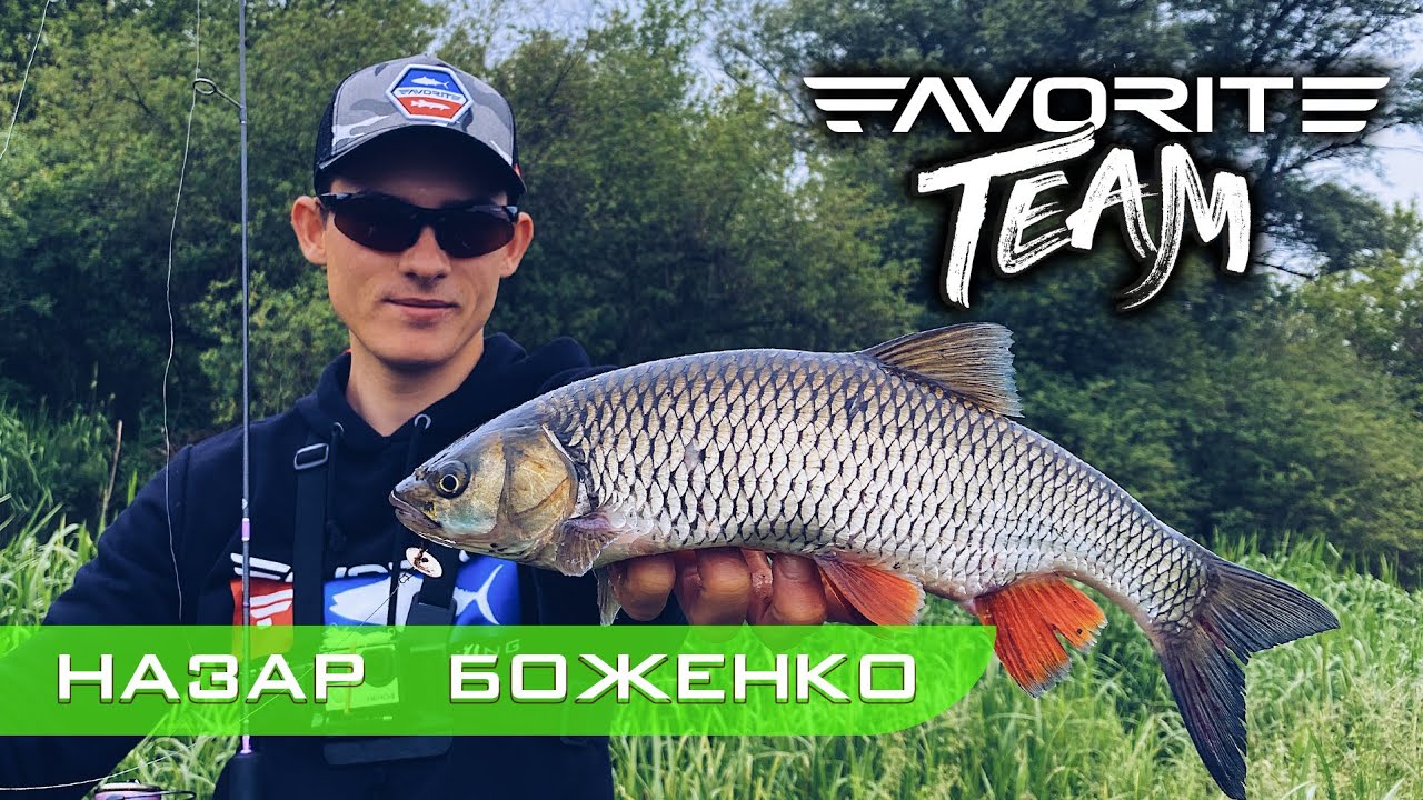 Можно ли на малой реке поймать КРУПНОГО ГОЛАВЛЯ на спиннинг? Favorite Team