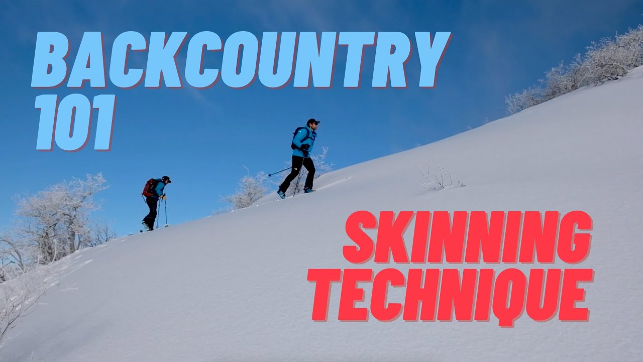 Basic Skinning Technique