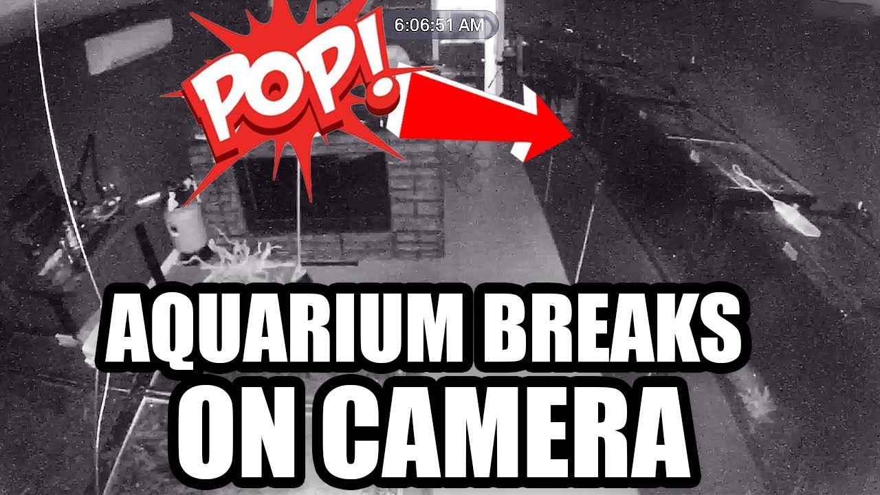 MY AQUARIUM EXPLODED!!