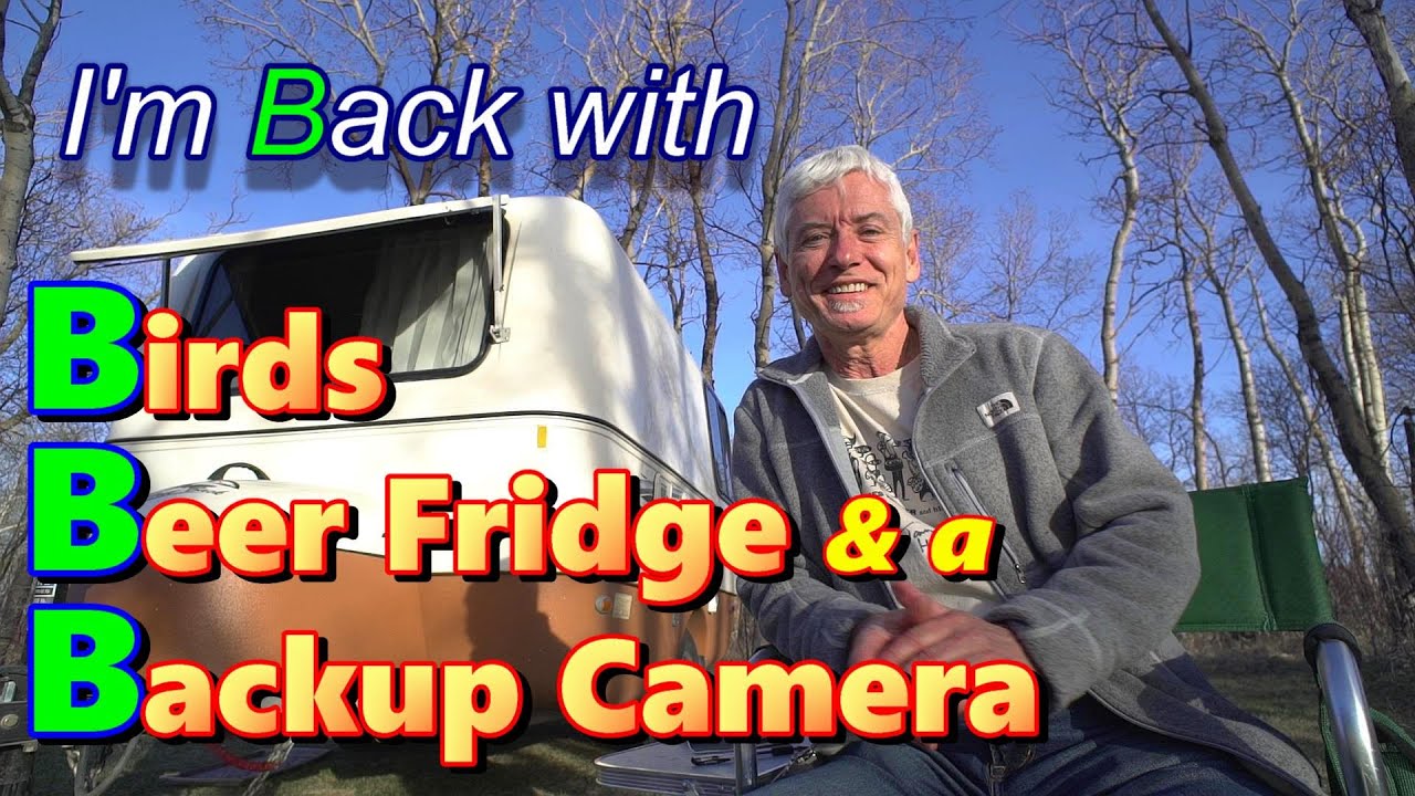 I'm Back with Birds, A Beer Fridge and a Backup Camera!