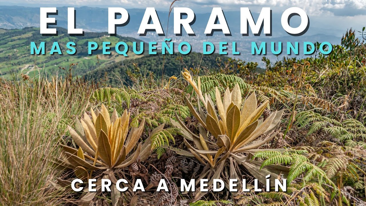 🌄🌲Senderismo al P&aacute;ramo de las Bald&iacute;as: recorrido de 16 km con Vistas Espectaculares cerca a Medellin