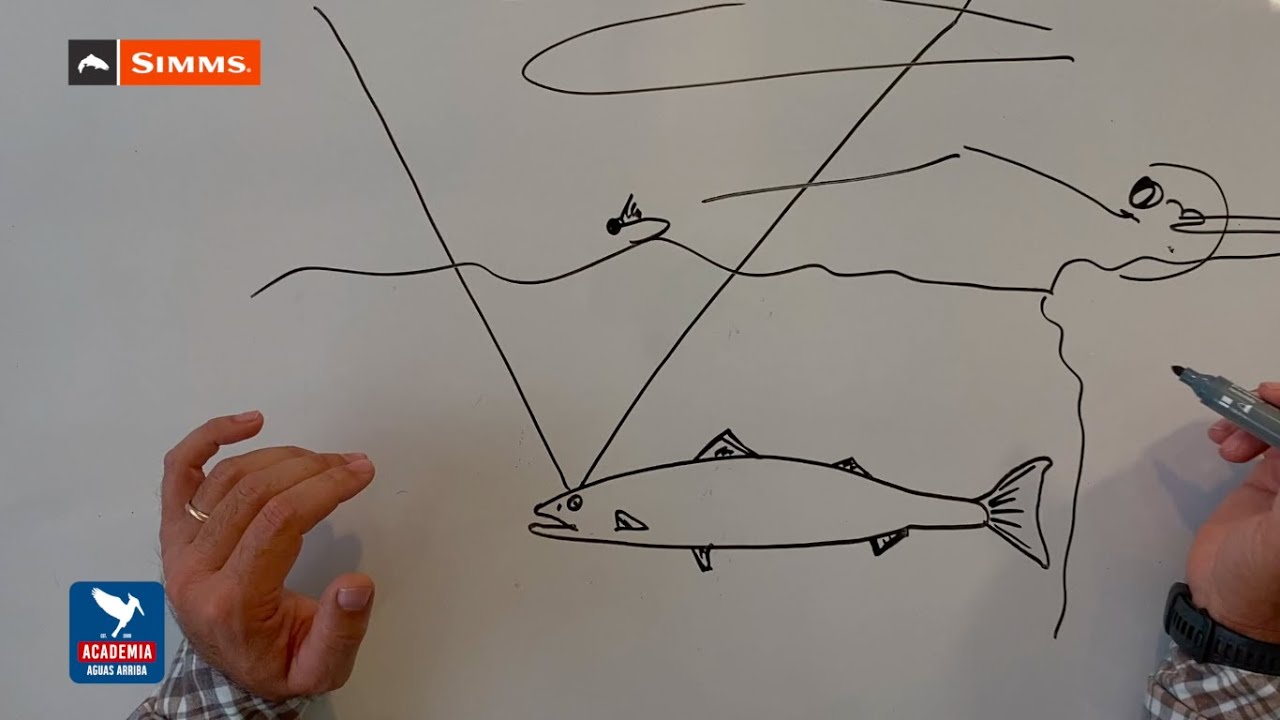 AE#3 - ¿Las Truchas te ven? Aprendiendo Estrategias para presentarle la mosca -Aguas Arriba by Simms