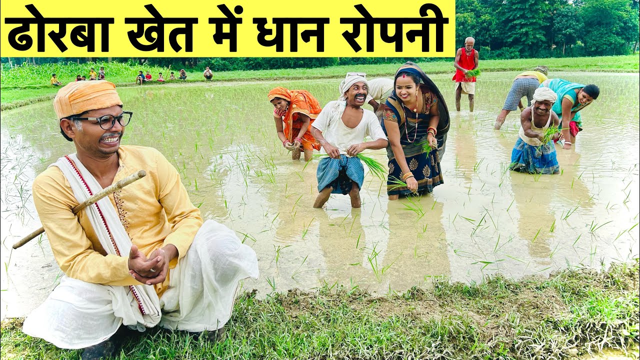ढोरबा खेत में धान रोपनी 🤪 chunalal dhorba comedy 2024